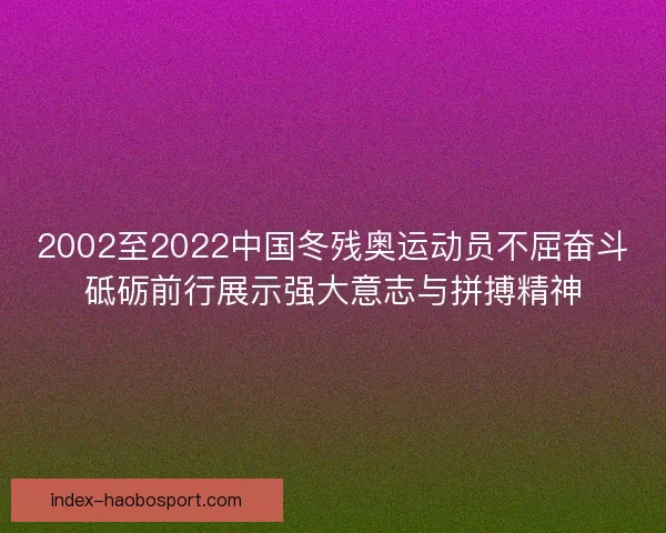 2002至2022中国冬残奥运动员不屈奋斗砥砺前行展示强大意志与拼搏精神